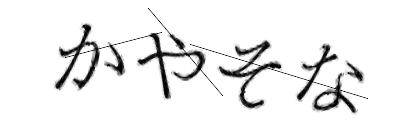 CAPTCHA画像