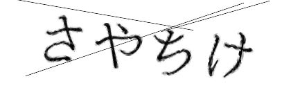 CAPTCHA画像