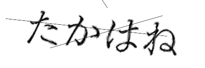 CAPTCHA画像