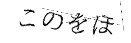 CAPTCHA画像