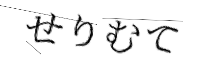 CAPTCHA画像