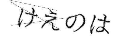 CAPTCHA画像