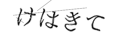 CAPTCHA画像