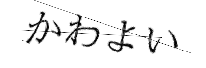 CAPTCHA画像