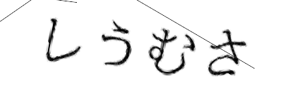 CAPTCHA画像