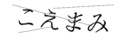 CAPTCHA画像