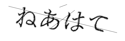 CAPTCHA画像
