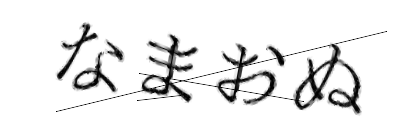 CAPTCHA画像