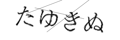 CAPTCHA画像