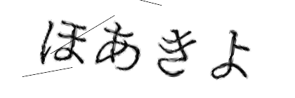 CAPTCHA画像