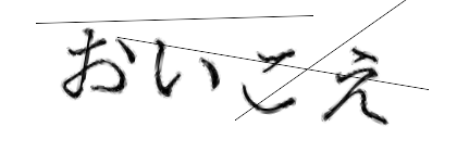CAPTCHA画像