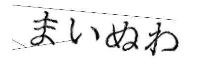 CAPTCHA画像