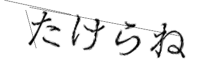 CAPTCHA画像