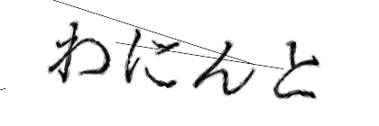 CAPTCHA画像