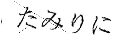 CAPTCHA画像