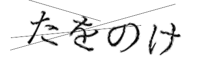 CAPTCHA画像