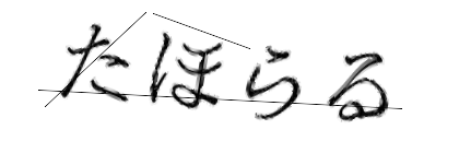 CAPTCHA画像