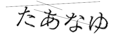 CAPTCHA画像