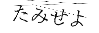 CAPTCHA画像