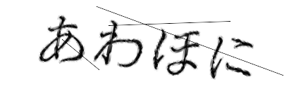 CAPTCHA画像