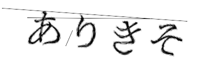 CAPTCHA画像