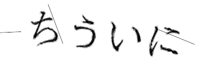 CAPTCHA画像