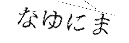 CAPTCHA画像