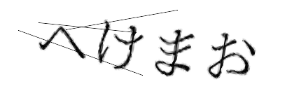 CAPTCHA画像