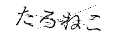 CAPTCHA画像