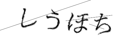 CAPTCHA画像