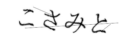 CAPTCHA画像