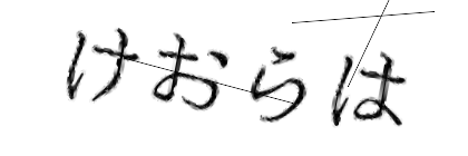 CAPTCHA画像