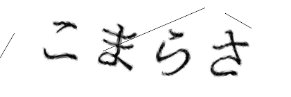 CAPTCHA画像