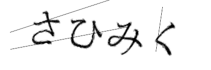 CAPTCHA画像