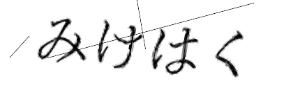 CAPTCHA画像
