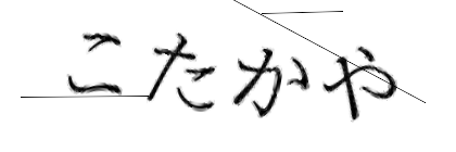 CAPTCHA画像