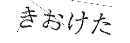 CAPTCHA画像