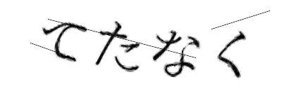 CAPTCHA画像