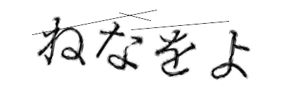 CAPTCHA画像