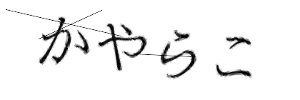 CAPTCHA画像