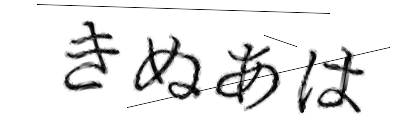 CAPTCHA画像