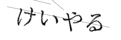 CAPTCHA画像