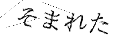 CAPTCHA画像