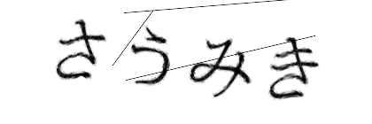 CAPTCHA画像