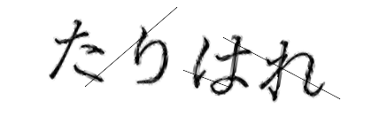 CAPTCHA画像