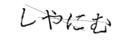 CAPTCHA画像