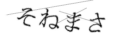 CAPTCHA画像