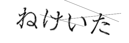 CAPTCHA画像