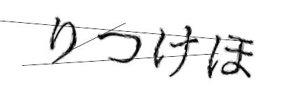 CAPTCHA画像