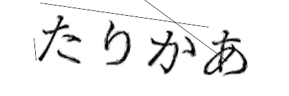 CAPTCHA画像